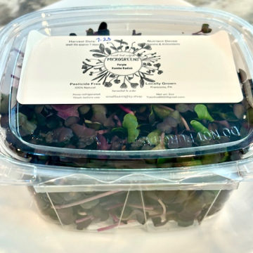 Purple Radish